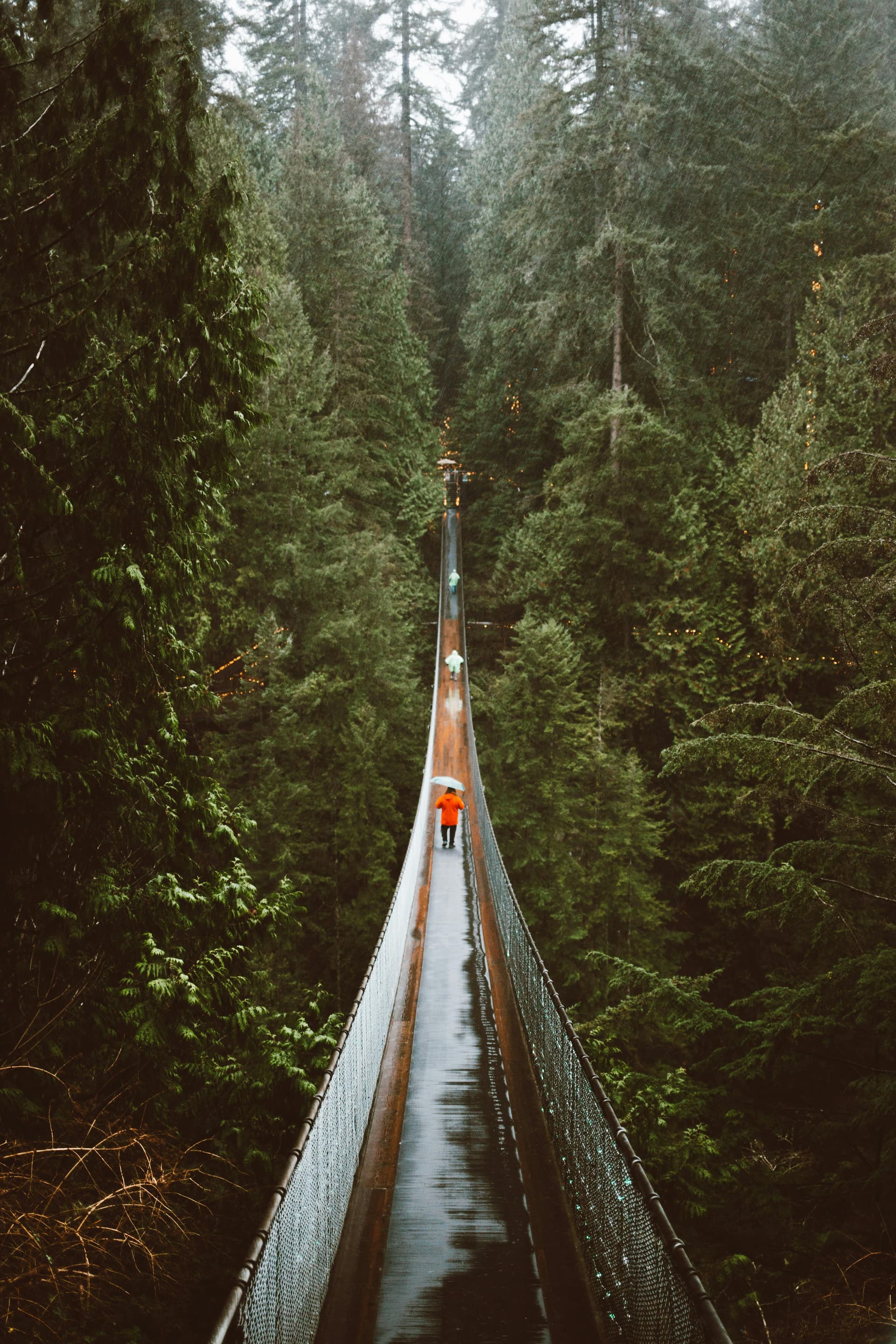 Tour en español en Vancouver - Capilano Suspension Bridge